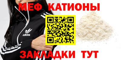 стафф Гатчина