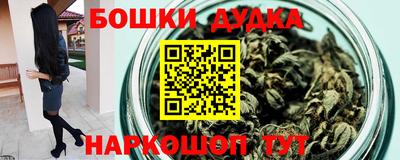стафф Гатчина