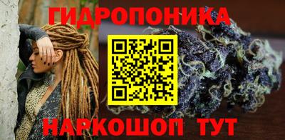 стафф Гатчина