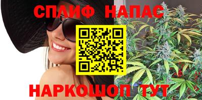 стафф Гатчина