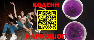 стафф Гатчина
