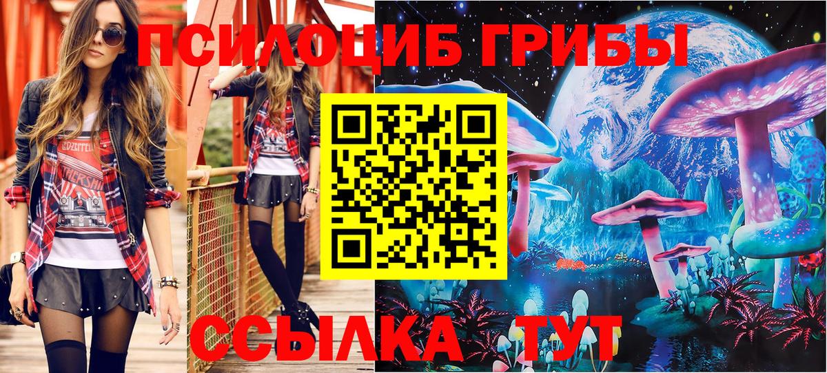Псилоцибиновые грибы ЛСД Торжок