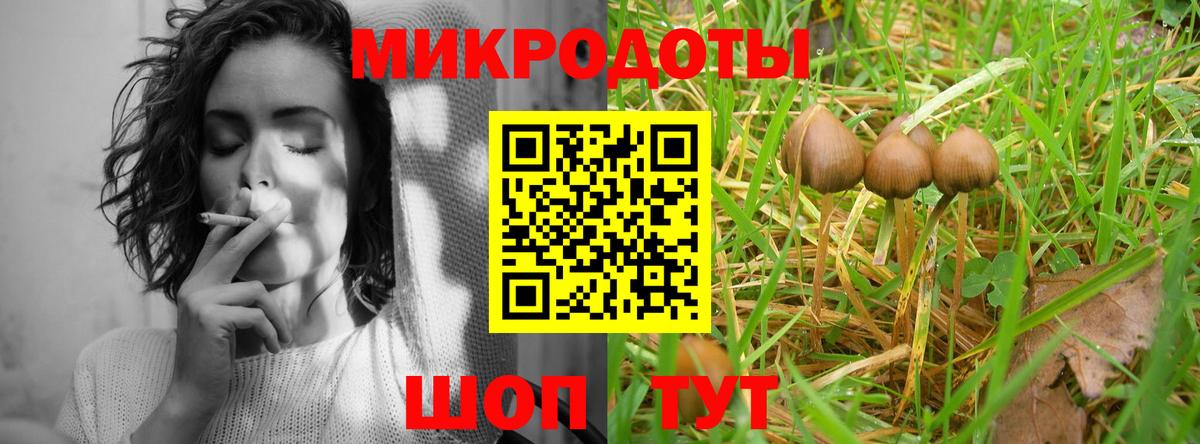 Торжок  Псилоцибиновые грибы прущие грибы  Галлюциногенные грибы MAGIC MUSHROOMS  Вход с VPN 